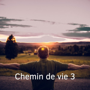 chemin de vie 3 jerome morel voyant