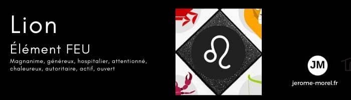 Le signe du zodiaque Lion par Jerome Morel Voyant