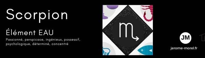 signe du zodiaque Scorpion jerome morel voyant